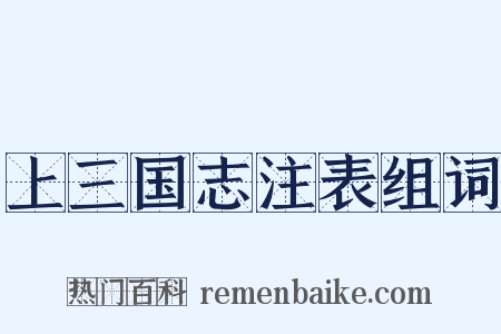 上三国志注表组词是什么意思的图片